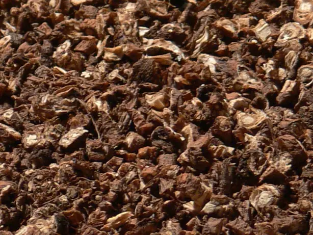 Cook Snap von kochcode-team