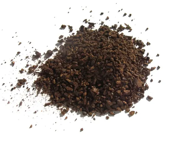 Cook Snap von kochcode-team