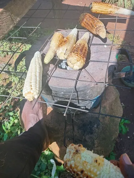 Cook Snap von kochcode-team