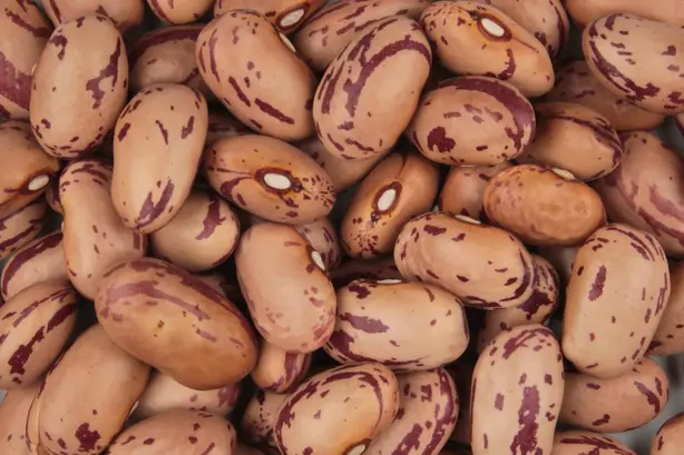 Cook Snap von kochcode-team