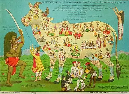 Cook Snap von kochcode-team