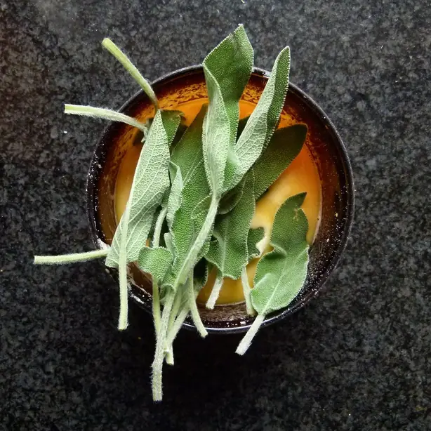 Cook Snap von kochcode-team