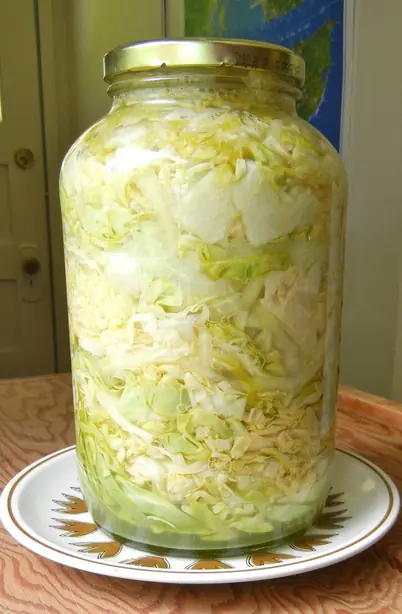 Cook Snap von kochcode-team