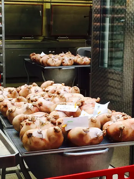 Cook Snap von kochcode-team