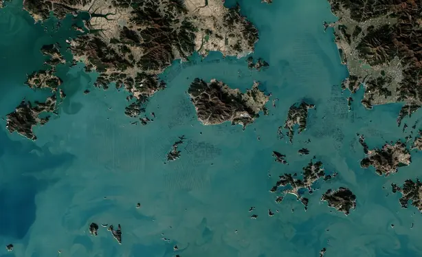 Foto von Koreanisches Geröstetes Gim (Gim-gui) – fertig angerichtet