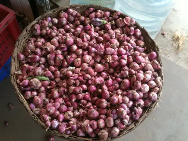 Cook Snap von kochcode-team