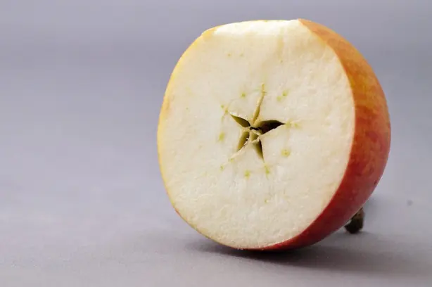 Shampion 13.01.2013 13-39-31 – Foto: Dirk Ingo Franke (CC0)