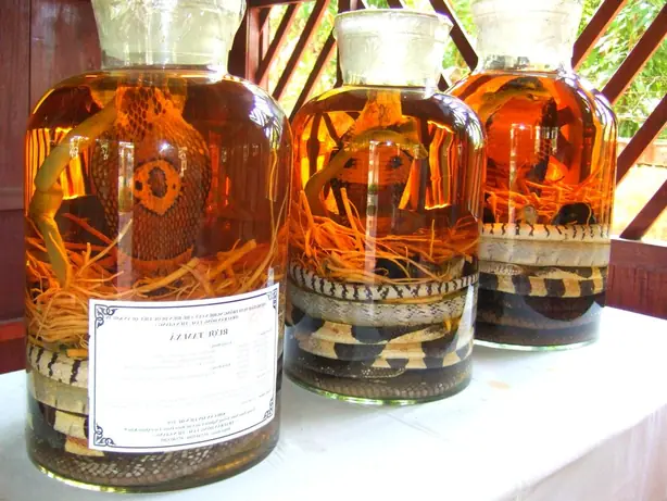 Foto von Vietnamesischer Schlangenschnaps klassisch – fertig angerichtet