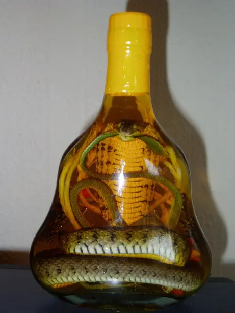 Cook Snap von kochcode-team