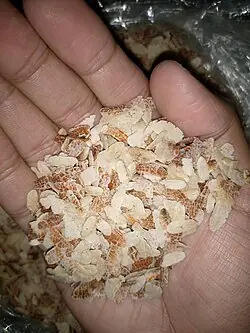 Foto von Assamesische Jolpan-Schale: Das magische Sofort-Reis-Frühstück – fertig angerichtet