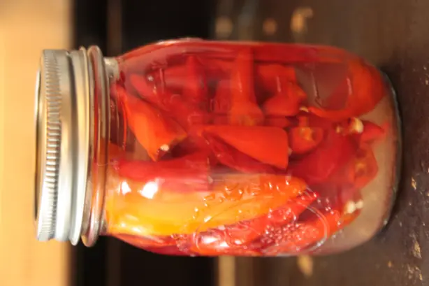 Foto von Klassische Eingelegte Peperoni (Pickled Peppers) – fertig angerichtet