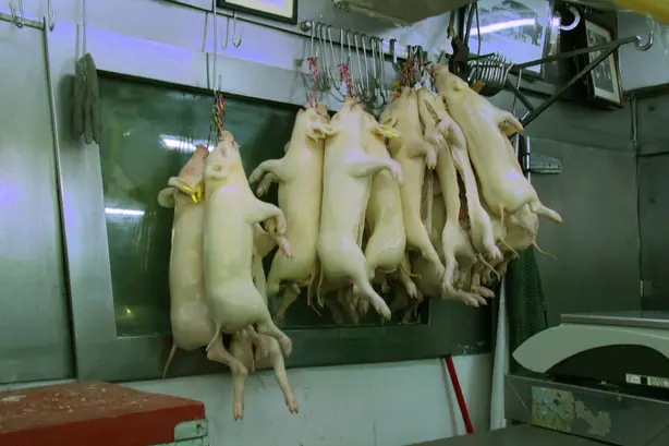 Foto von Kubanischer Lechon Asado – Saftiger Schweinebraten mit knuspriger Kruste & Mojo-Marinade – fertig angerichtet