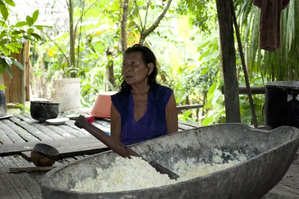 Cook Snap von kochcode-import