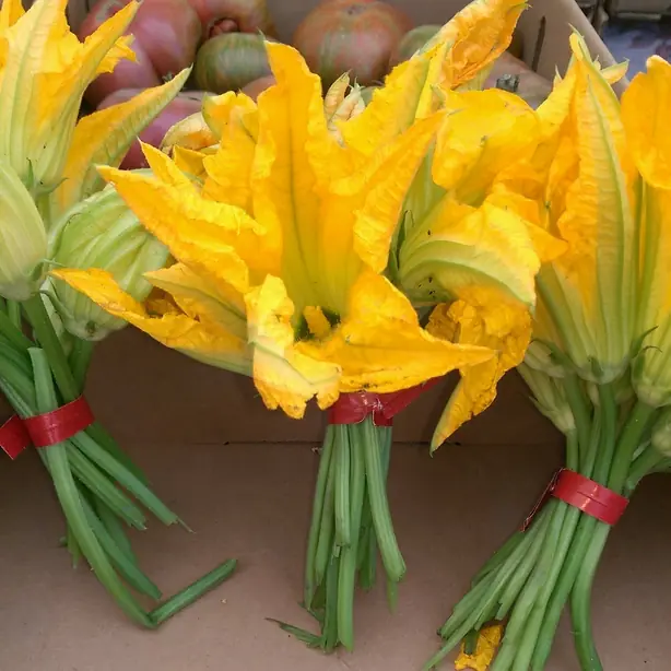 Foto von Mexikanische Zucchiniblüten-Suppe (Sopa de flor de calabaza) – fertig angerichtet