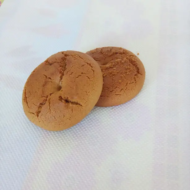 Foto von Moustalevria - Traditioneller Griechischer Traubenmost-Pudding – fertig angerichtet