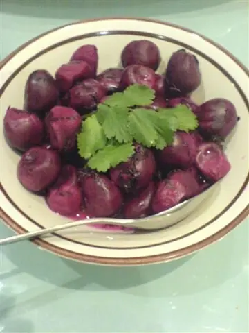 Foto von Nasu Karashizuke - Japanische Auberginen in pikanter Senf-Sake-Marinade – fertig angerichtet