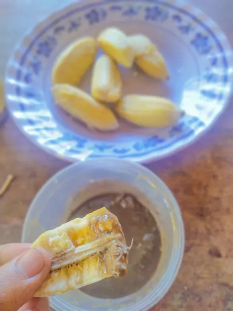 Foto von Nilagang Saging - Philippinische gekochte Saba-Bananen mit Bagoong – fertig angerichtet