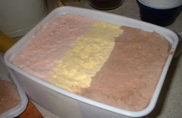 Foto von Original Fürst-Pückler-Eis (Neapolitan Ice Cream) - Der dreifarbige Klassiker – fertig angerichtet