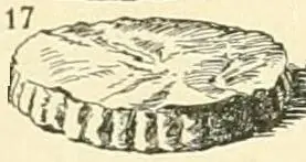 Foto von Pain de Gênes – Der legendäre französische Mandelkuchen – fertig angerichtet