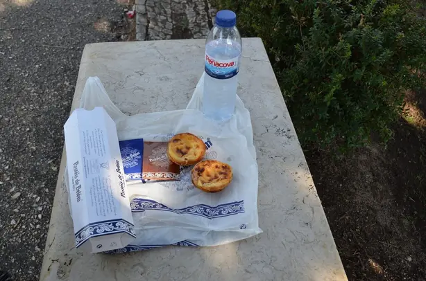 Foto von Pastel de Nata (Portugiesisches Puddingtörtchen) – fertig angerichtet