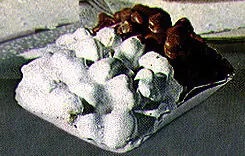 Foto von Sizilianische Pignolatti (Pignolata al Miele) – fertig angerichtet