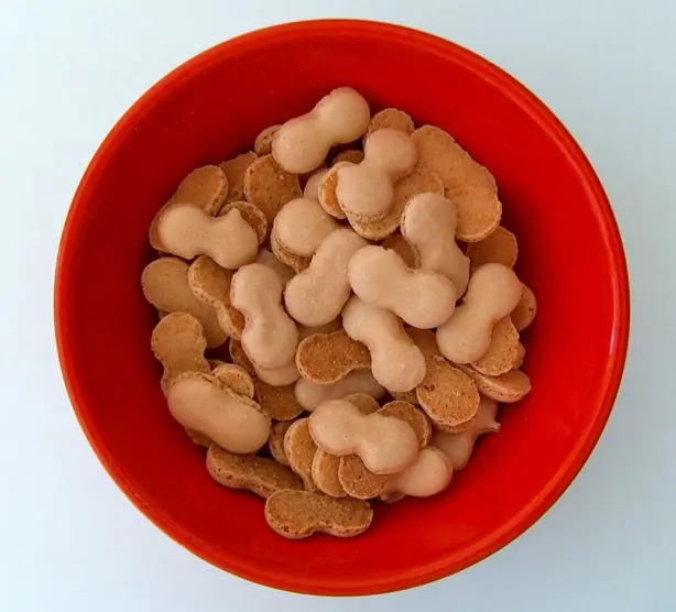 Foto von Wibele – fertig angerichtet