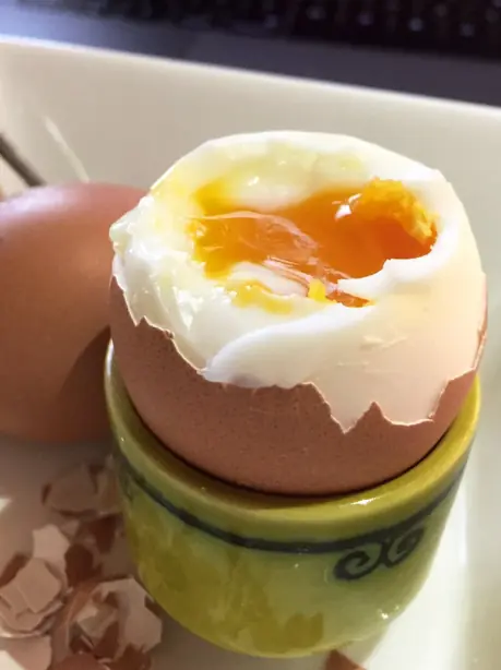 Cook Snap von kochcode-team