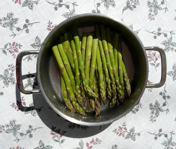 Cook Snap von kochcode-team