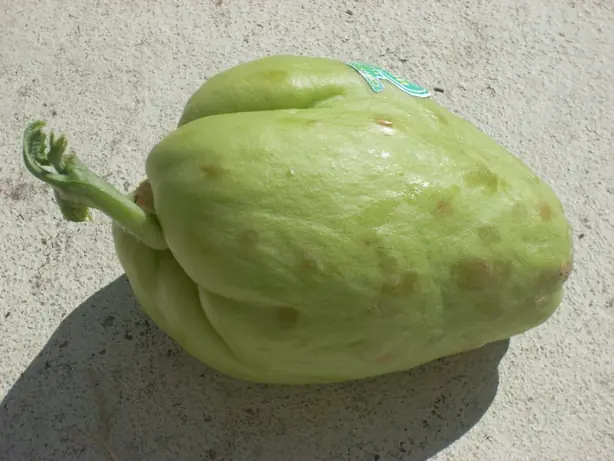 Cook Snap von kochcode-team