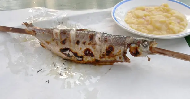 Cook Snap von kochcode-team