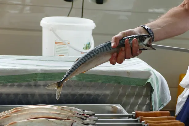 Cook Snap von kochcode-team