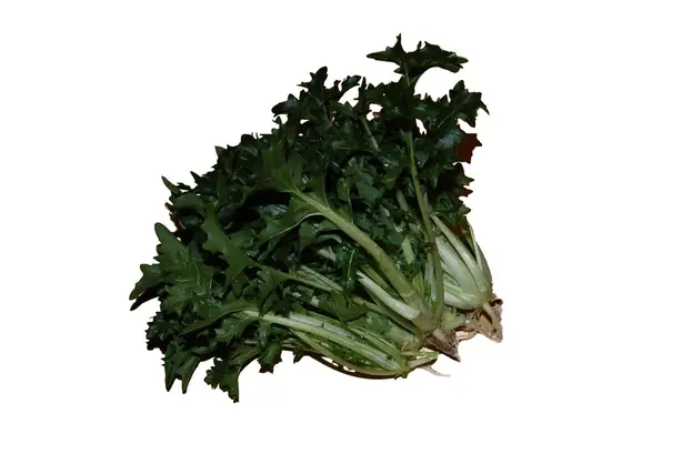 Cook Snap von kochcode-team