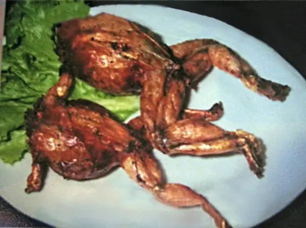 Stuffed frogs – Foto: No machine-readable author pro (CC BY 2.5)