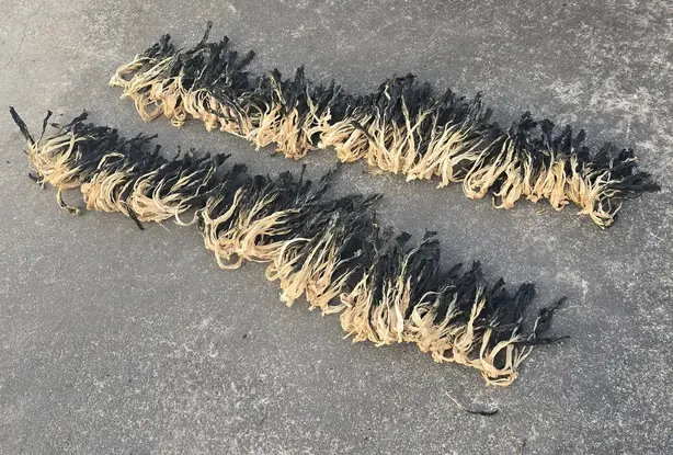 Cook Snap von kochcode-team