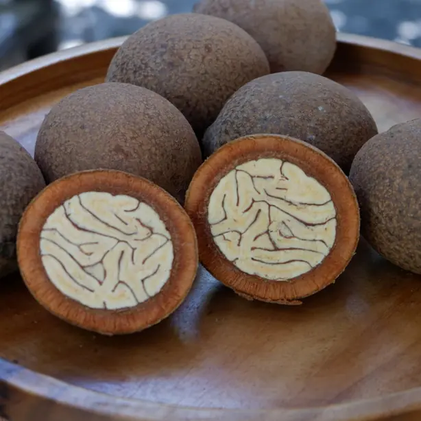 Cook Snap von kochcode-team