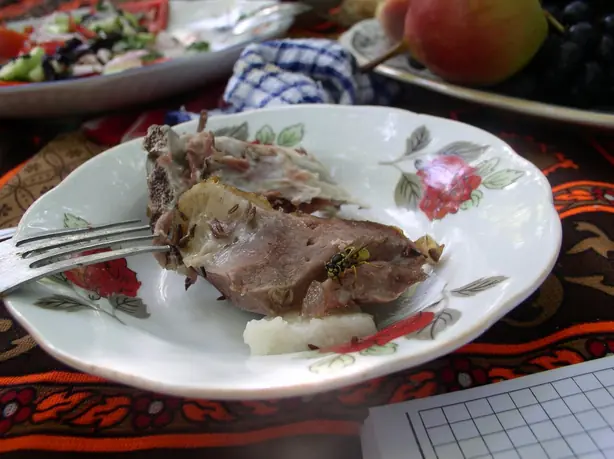 Cook Snap von kochcode-team