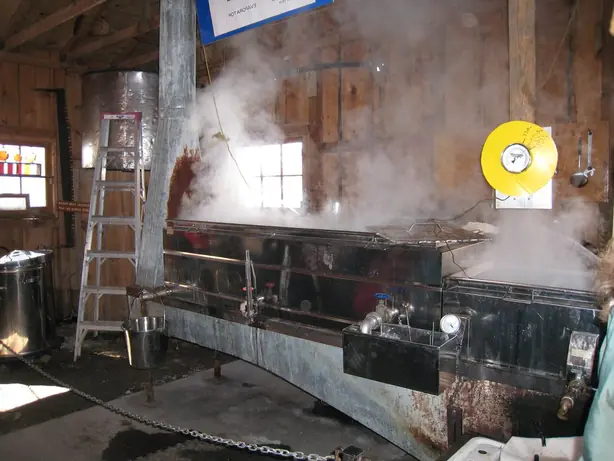 Cook Snap von kochcode-team