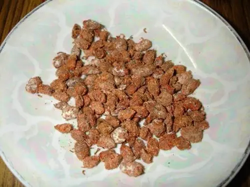 Cook Snap von kochcode-team