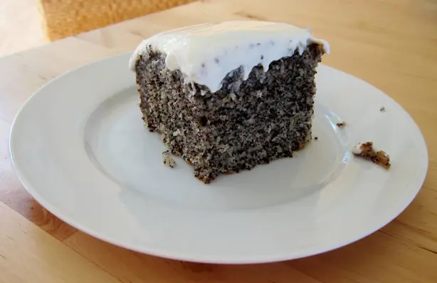 Cook Snap von kochcode-team