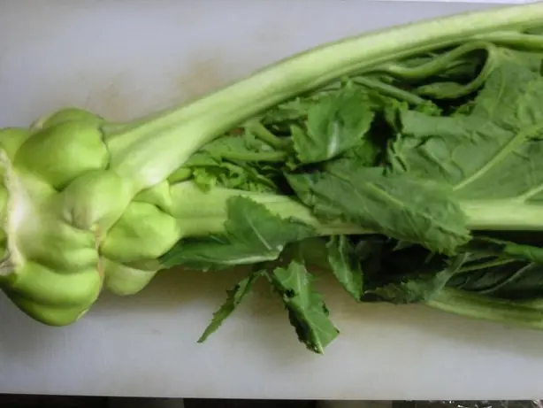 Cook Snap von kochcode-team