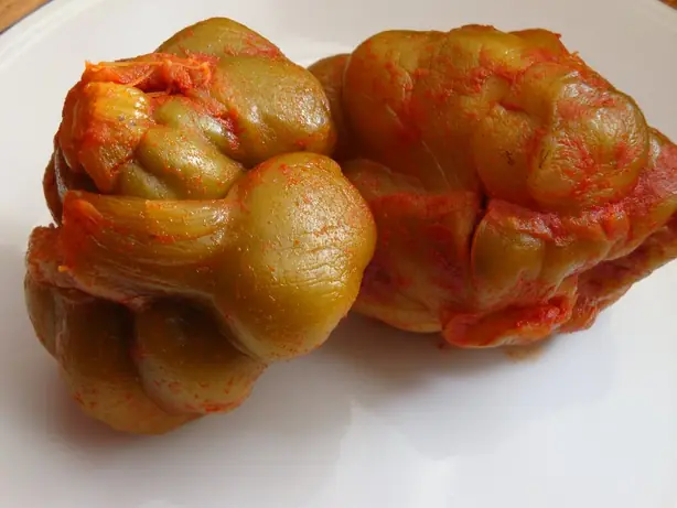 Cook Snap von kochcode-team