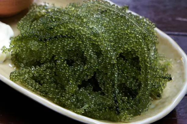 Cook Snap von kochcode-team