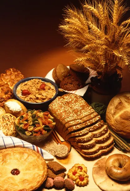 Cook Snap von kochcode-team