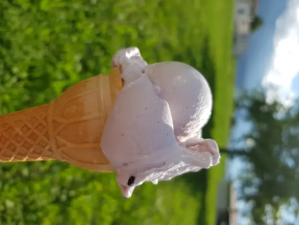 Cook Snap von kochcode-team