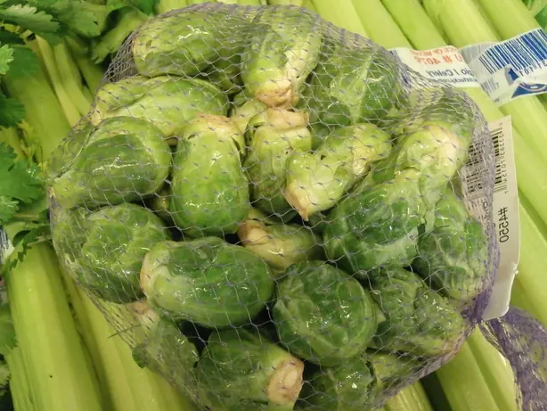 Wet Brussels sprouts in a net – Foto: Jeffery Martin (CC0)