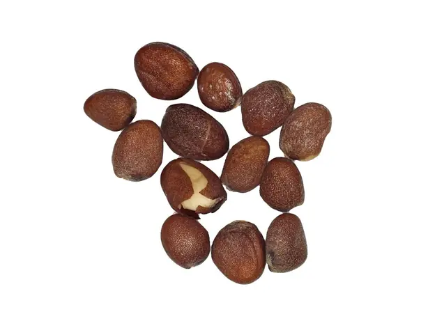 Cook Snap von kochcode-team