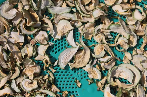 Cook Snap von kochcode-team