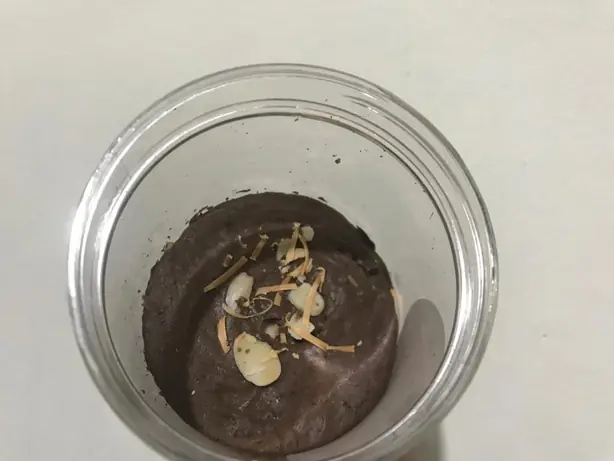 Cook Snap von kochcode-team