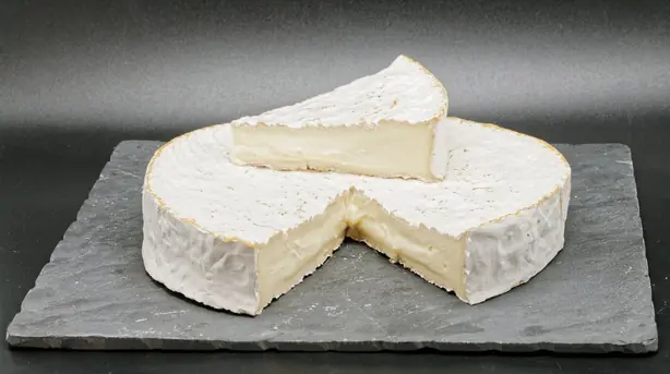 Cook Snap von kochcode-team