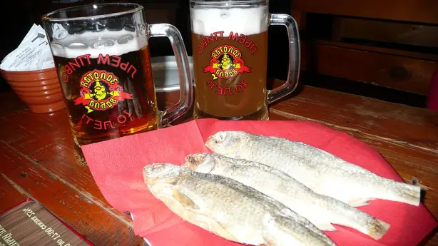 Cook Snap von kochcode-team